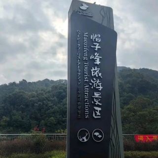 🌳Check in at the "Jiuzhaigou of Northern Guangdong"! Maozifeng Provincial Forest Park: Golden Ginkgo Leaves in Autumn and Southern Snow Scenery in One Go