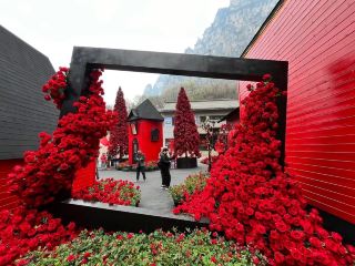 A Hidden Corner of Yuntai Mountain — Rose Town