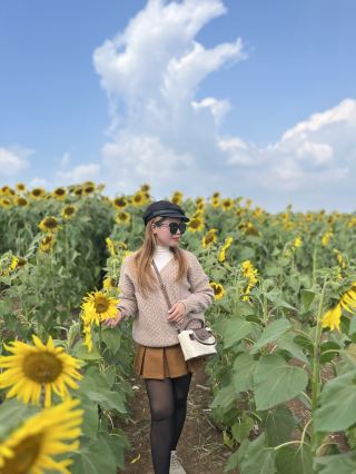 The Ultimate Photo Spot in Central Vietnam | Nghe An Sunflower Hill 📸🌾