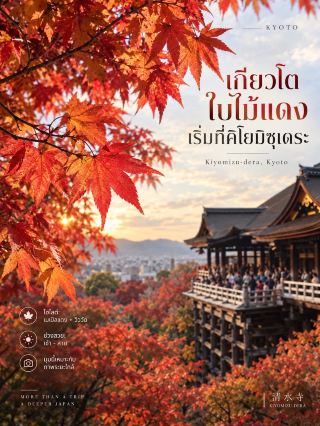 If you want to see Kyoto at its most beautiful, I recommend visiting during the autumn foliage season 🍁