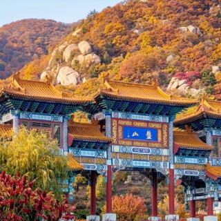 Panshan in Peak Autumn: A Fall Foliage Day Trip from Tianjin 🍁✨