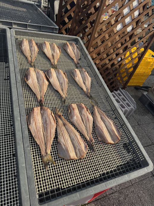 Ibaraki Nakaminato Fish Market: Fresh Giant Oysters and a Seafood Feast