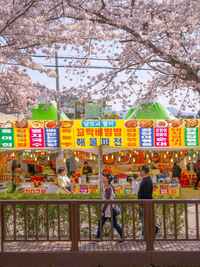 벚꽃터널 끝판왕 no.1 "여좌천 로망스다리"