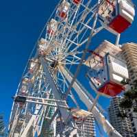 kids@gold coast