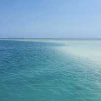 【ハワイ🇺🇸】天国の海サンドバー🏖️幻のビーチに大感動‼️