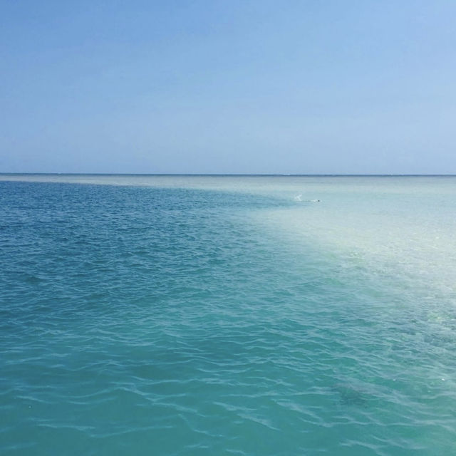 【ハワイ🇺🇸】天国の海サンドバー🏖️幻のビーチに大感動‼️