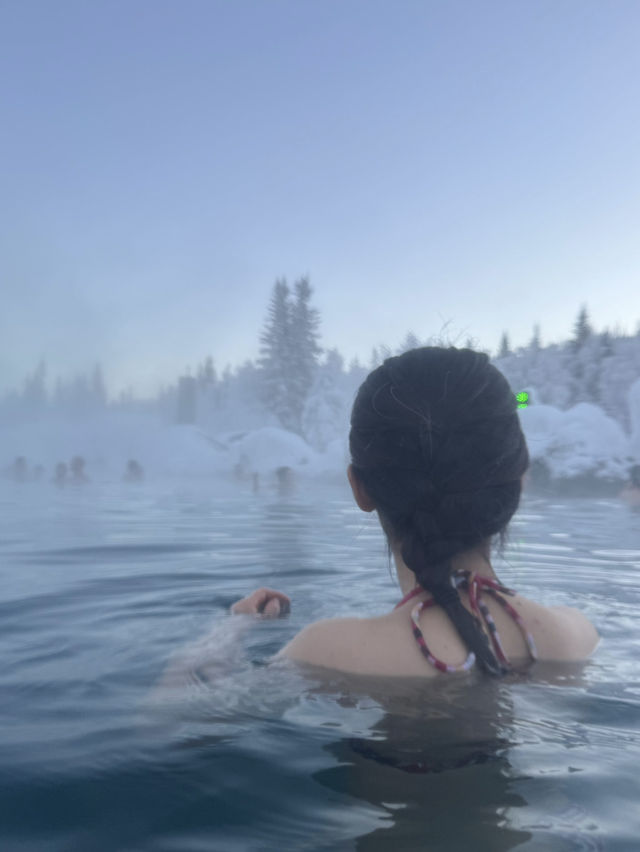 「一生に一度はみたい！」オーロラの旅