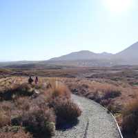 Tongariro National Park