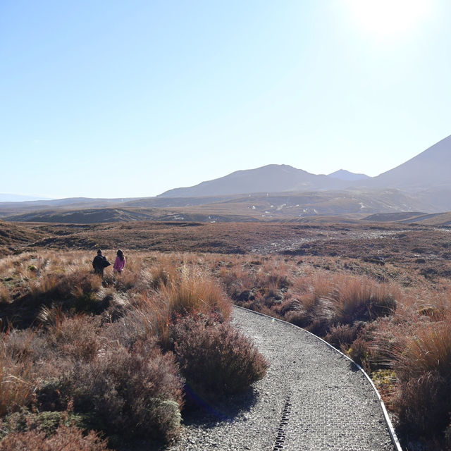 Tongariro National Park