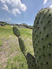 Teotihuacán – Where Gods Walked Among Pyramids