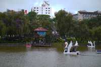  Late Afternoon at Burnham Park, Baguio