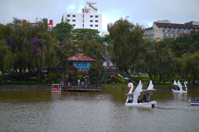  Late Afternoon at Burnham Park, Baguio