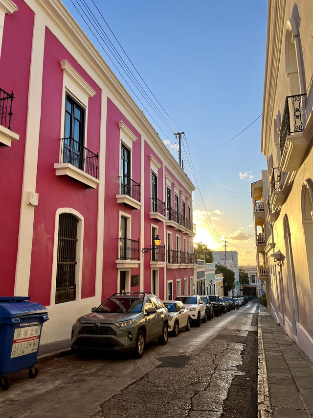 Tropical Dreamscape🌴