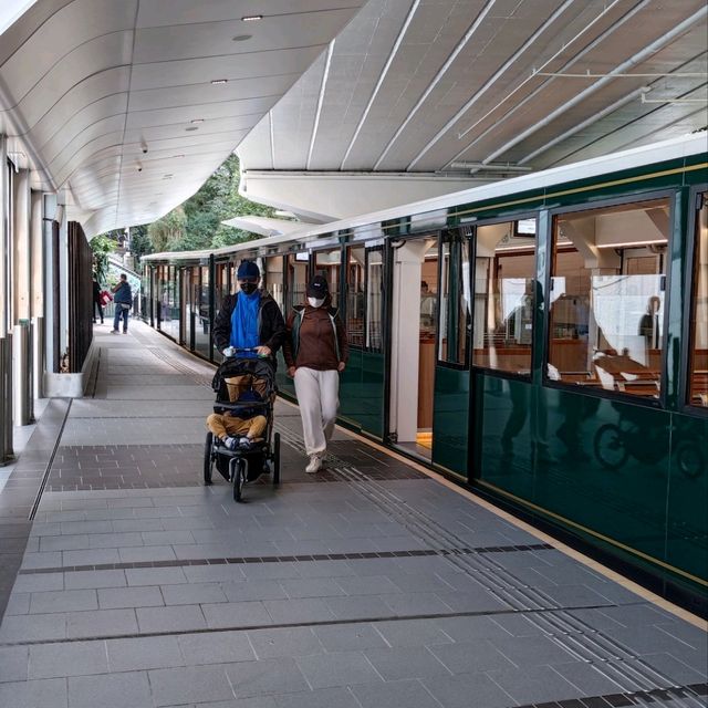 The Peak Tram (interesting & exciting) 