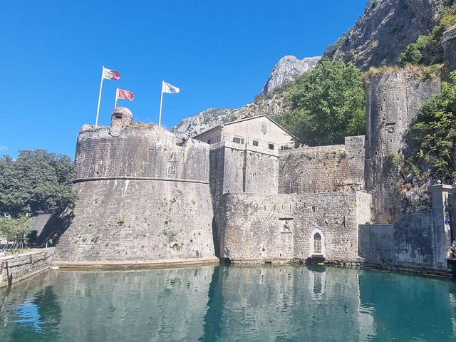 Port of Kotor 🗺️