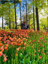 An Imperial Park That's Centuries Old