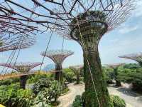 Singapore's Gardens by the Bay