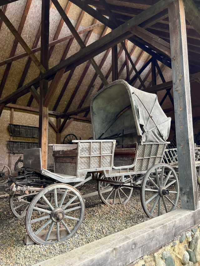 Astra Museum Of Traditional Folk Civilisation 🗺️
