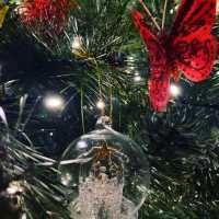 Celebrating Santo Stefano