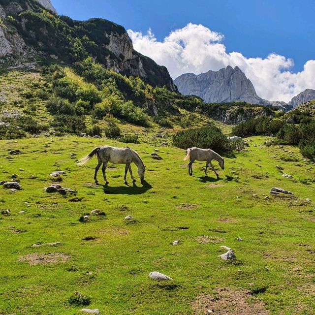 Hiking Bobotov Kuk in Durmitor National Park