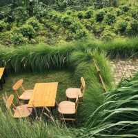 BLYSS CAFE