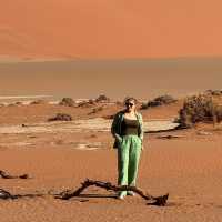 Namib desert