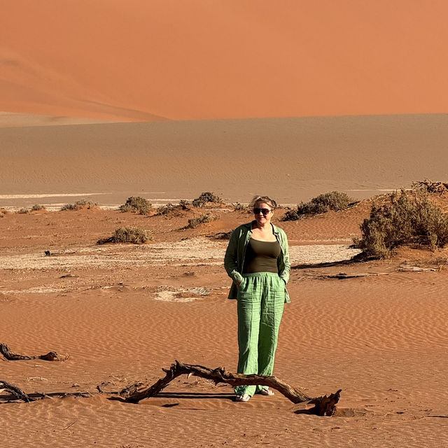 Namib desert
