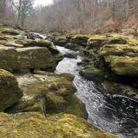 The most dangerous river in the world? 