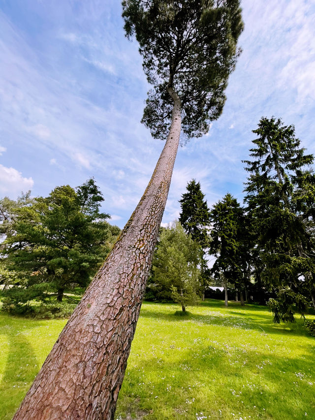 Kew Gardens: London’s Green Oasis of Wonders