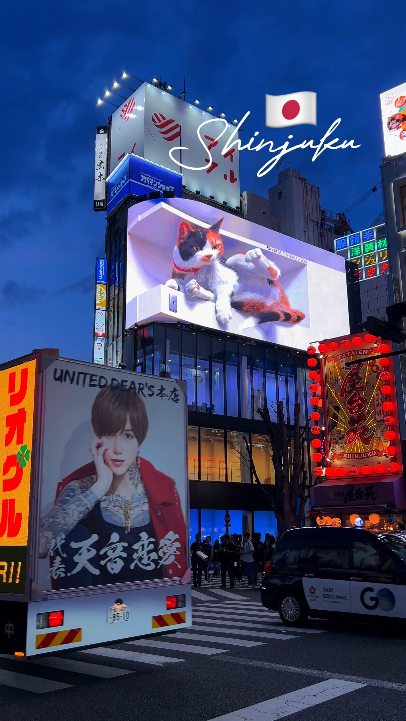 探索新宿：熱門推薦

1. 3D貓咪－一塊印著搞笑貓咪的廣告看板。不妨在這裡欣賞幾部動畫，因為它們很特別🐈⬛

地址：新宿十字大廈

2. 東京都廳－晚上7點開始在大樓上表演🤩

3. 歌舞伎町塔－48樓的娛樂中心🥳

4. Mode Youjochi－街頭小吃🤤

#東京漫步
