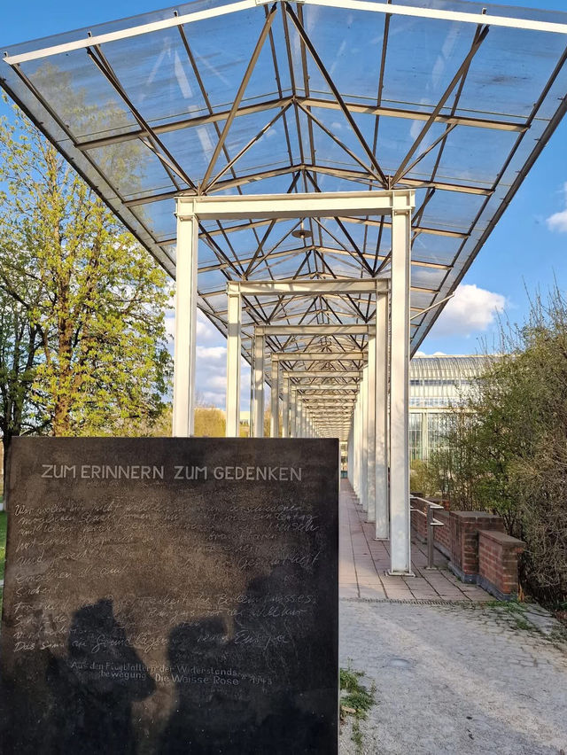 Munich 🗺️