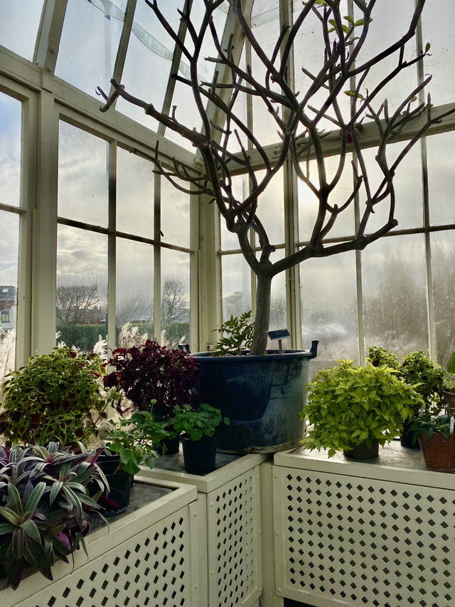 The First Blooms of Springtime Magic