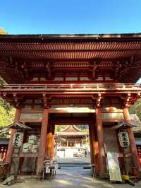 That shrine will bring you benefits
