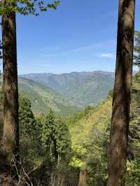 World heritage pilgrimage in Japan. Walking on Kumano Kodo