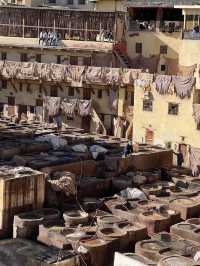 Fez and Flavors: A Cultural Feast in the Heart of Morocco