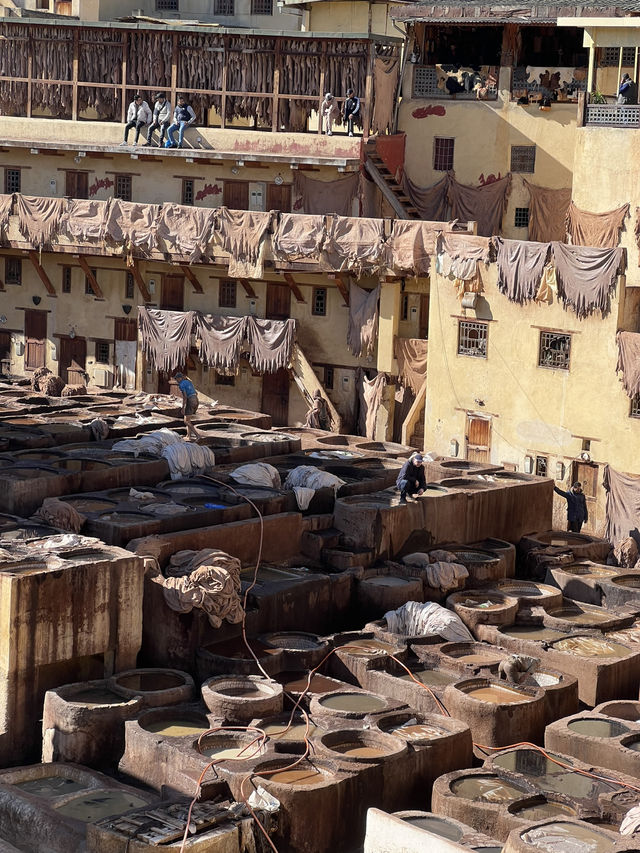 Fez and Flavors: A Cultural Feast in the Heart of Morocco