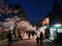 Kanazawa Escape: Blossoms, Kimonos, and Timeless Charm