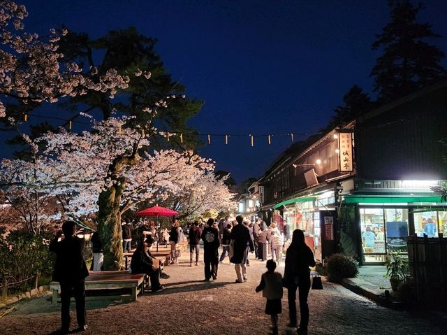 Kanazawa Escape: Blossoms, Kimonos, and Timeless Charm