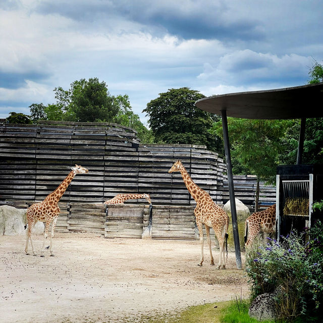 Cheap Paris Attraction: Paris Zoo! 🇫🇷🌳