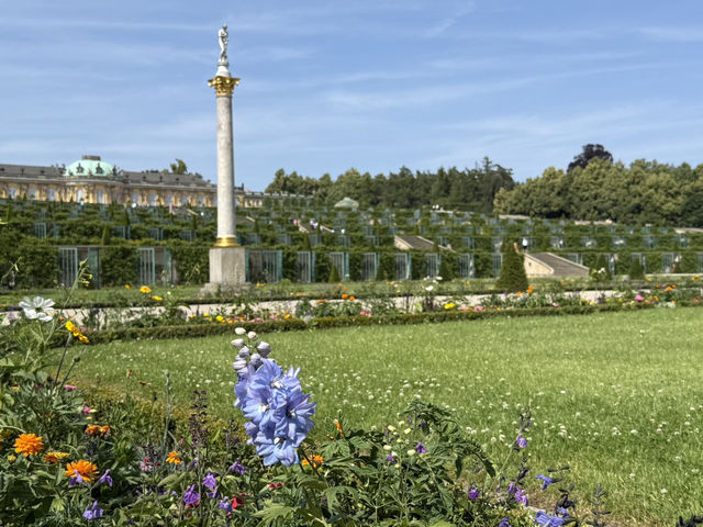 Picture-Perfect Views at Sanssouci Palace
