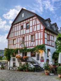 🍇 Rhineland-Palatinate: Vineyards, Castles, and River Magic 🏰🇩🇪