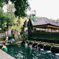 Bali Bucket List: Top Things to Do on the Island of the Gods