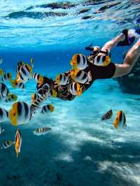 Maupiti: The Untouched Gem of Polynesia