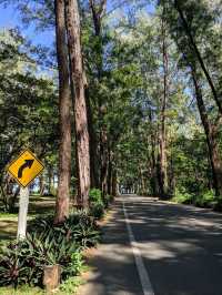 The northern beaches of the west coast of Phuket Island