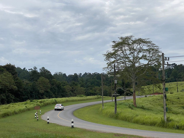 แวะเขาใหญ่แป๊บเดียว แต่ใจดันอยากอยู่นาน ๆ⛰️🛣️
