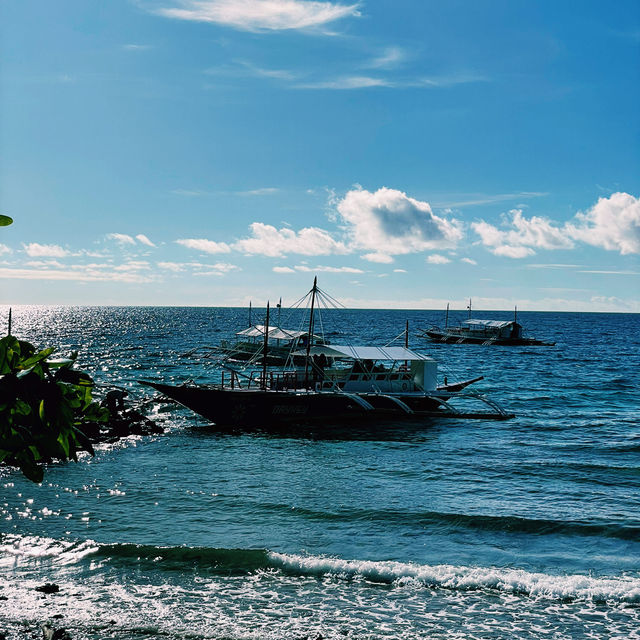 Dive Into Wonder: Cebu’s Underwater Paradise