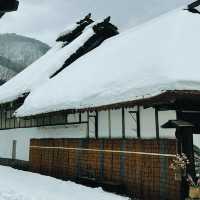 Tokyo Escape: Shimoga Ouchi Day Trip