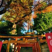 Tokyo Temples: Serenity Amid the City Buzz
