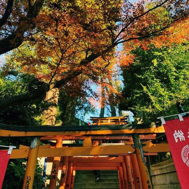 Tokyo Temples: Serenity Amid the City Buzz