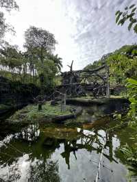 Bird World Review: A Wild Day Out in Taipei’s Animal Kingdom